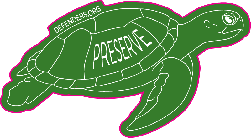 DECAL DESIGN