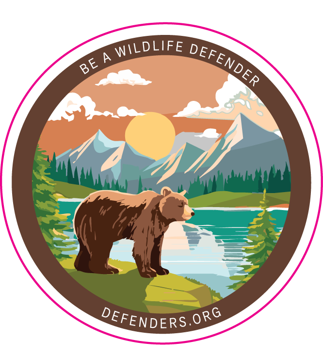 DECAL DESIGN