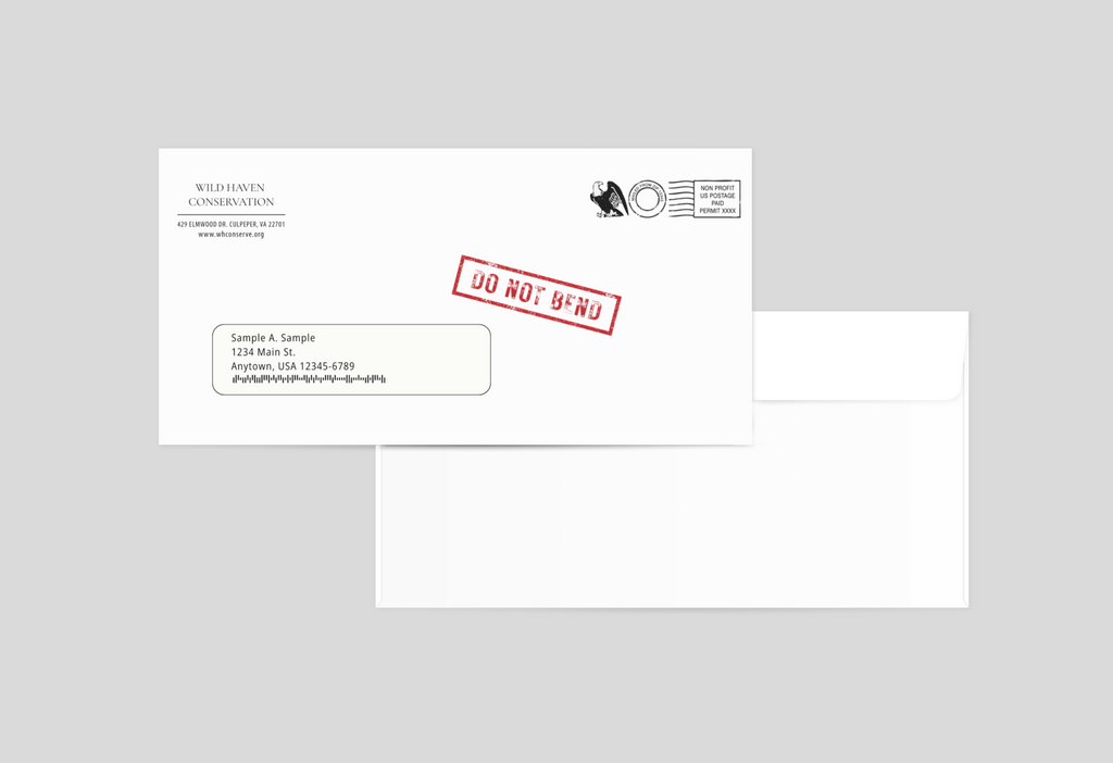 DIRECT MAIL DESIGN